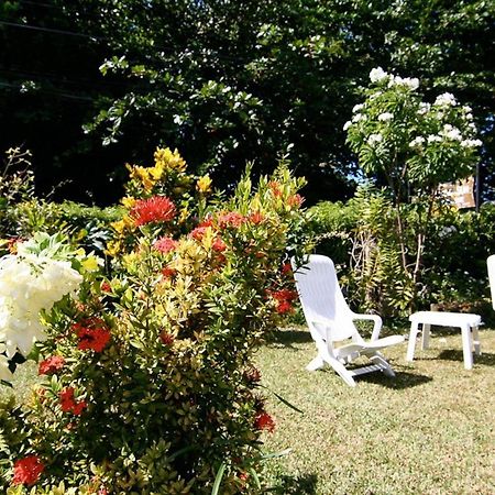 Rising Sun Guesthouse ラ・ディーグ島 エクステリア 写真